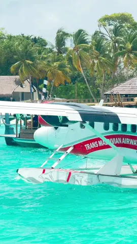Trans Maldivian Airways #tma #seaplane #trending #fyp #viral #maldives #visitmaldives #planespotting #twinotter #tiktokmv #1m 