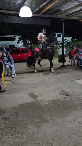 Amor por los caballos en la pesebrera 