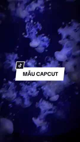 #CapCut em đến bên anhh… #capcutmaster #xh#trend #viral #fyp #tiktok 