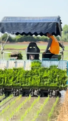 Farmers will greatly reduce their labor force #farmer #countryside #farming #crop #agriculture #trending 