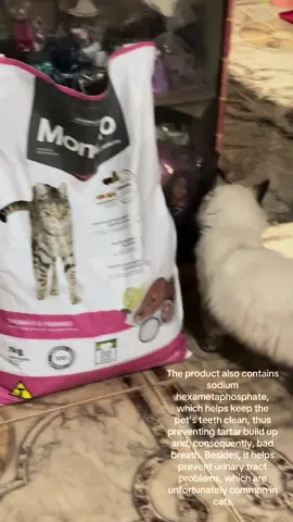 7 kilos na. Laking tipid nito sakin hahaha ang mahal ng kilo nito sa tindahan 🥲 #monello #cat #catfood #sulitdeal #fyp #foryoupage 