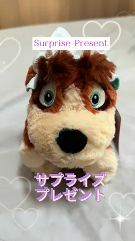 ディズニーランドのサプライズプレゼント #ディズニー #ディズニーランド #ピーターパン #家族　#犬 #癒し #ディズニーリゾート