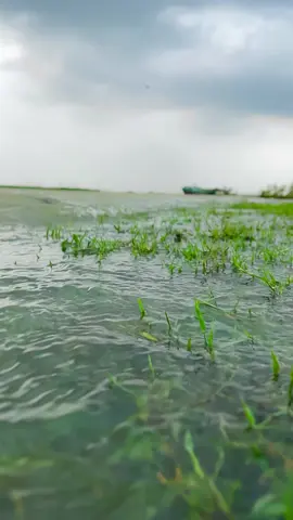 নদীর ধারে ঘুরে বেড়াও এবং জীবনের যাত্রার সৌন্দর্য আবিষ্কার করো🖤🤗#unfrezzmyaccount #foryoupageシ #foryou #pyfツ #viral @TikTok Bangladesh @TikTok @#foryou @tiktokglobal @TikTok Trends 