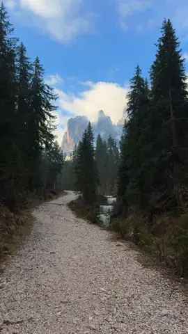 📍 Dolomites, Italy 🇮🇹  Follow for more Content 🇮🇹 📌 Save this for your (next) trip to Dolomites 🏔️ 🎥 by: @swisswoow #lagodibraies #dolomiti #dolomites #italy #altoadige #braies #trentino #trentinoaltoadige #italia #nature #mountains #pragserwildsee #lake #dolomiten #braieslake #travel #sudtirol #southtyrol #landscape #dolomitiunesco #unpassodalcielo #naturephotography #photography #lagodibraiesofficial #sancandido #bolzano #lago #mountain