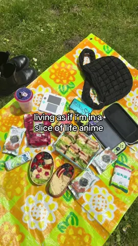 just trying to live as aesthetically as @noah 🥺💖 #Vlog #picnic #cute #cozy #cozyathome #nintendo #studioghibli #anime #books #food #adventuretime #room 
