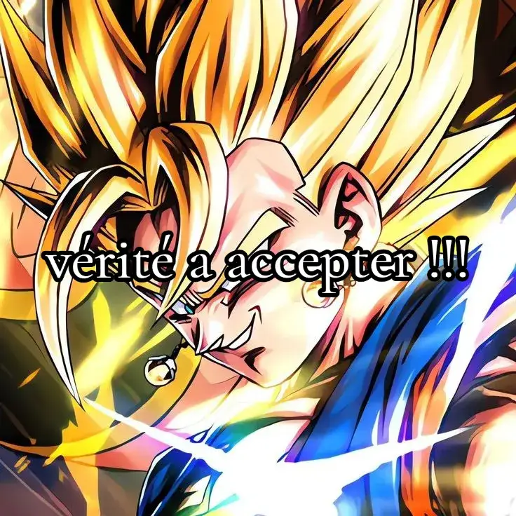 discord en bio  #pourtoi #foryoupage #veriter #gogeta #vegeto #goku 