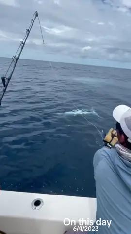 #onthisday #fy #fypシ゚ #viral #fish #fishing #topwaterfishing #explore #اكبسلور 