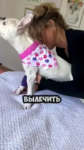 Женщина Подарила Собаке Новую Жизнь 🥹❤️