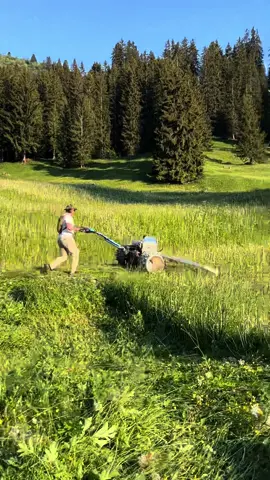 Work hard | farm from @Kon Rad #grossgaden #hay #brielmaierpower #swissfarmer🇨🇭🇨🇭 #farm #swissfarmer🇨🇭🇨🇭 #swissmeli #swissfarm #farming #swiss #farmerlife 