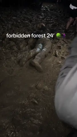 #forbiddenforestexperience #forbiddenforestfestival #festivalseason #rave #forbiddenforest 
