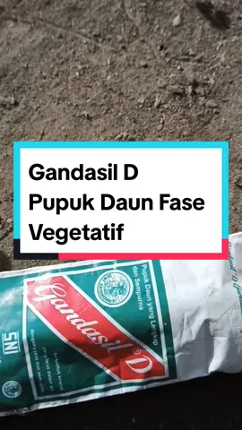 Pupuk Daun Gandasil D untuk tambahan nutrisi pada tanaman pada fase vegetatif  atau masa pertumbuhan tanaman. Pesan sekarang juga, klik keranjang kuning di kiri bawah VT ini! #pupuk #pupukvegetatif #gandasild #pupukgandasil #pupukpertumbuhan 