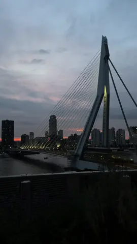 your sign to visit Rotterdam 🤍 #rotterdam #watertaxirotterdam #daytrip #boat #travel #foryou #fyp #rotterdamhotspots 