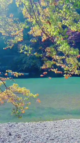 #photobyme #kenkaoyamete #kawainaoko #เทรนวันนี้ #เพื่อความบันเทิง #tikto #CapCut #fypシ゚viral #เธรดเพลงเพราะシ🤍 #ธรรมชาติ #arashiyama_kyoto 