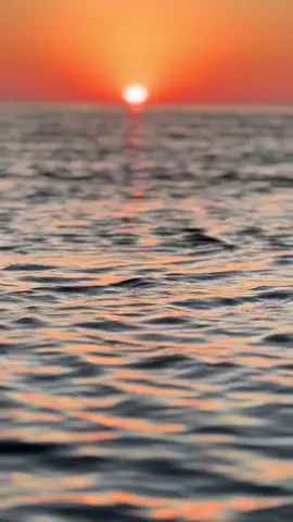 #sammysunset #nothingelsematters  #sunset #BookTok #natureloversoftiktok #nature #sunsetlovers #night #fypシ゚viral #saltlife #floridalife #thankful #metallica 