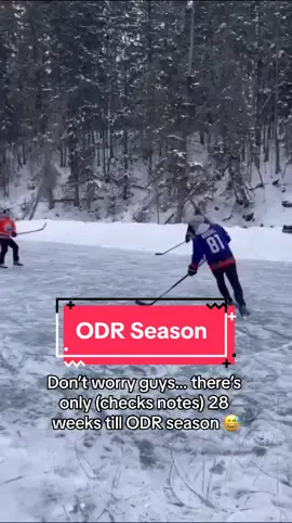 Only 28 weeks till winter… ❄️ Tag a friend who’s counting down the days! (🎥: @Outdoor Rink Heaven) #NHL #hockey #odr #canada #StanleyCup #stanleycupplayoffs #edmontonoilers #stanleycupfinals 