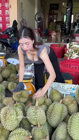 Devil's Fruit Durian! Thai Young Lady Selling Fresh Durian - Thai Street Food @ทุเรียนคุณเบนซ์ DurianMr.Benz  Location :  Google Map :https://maps.app.goo.gl/Ccm7Gup7HEF5BszK8