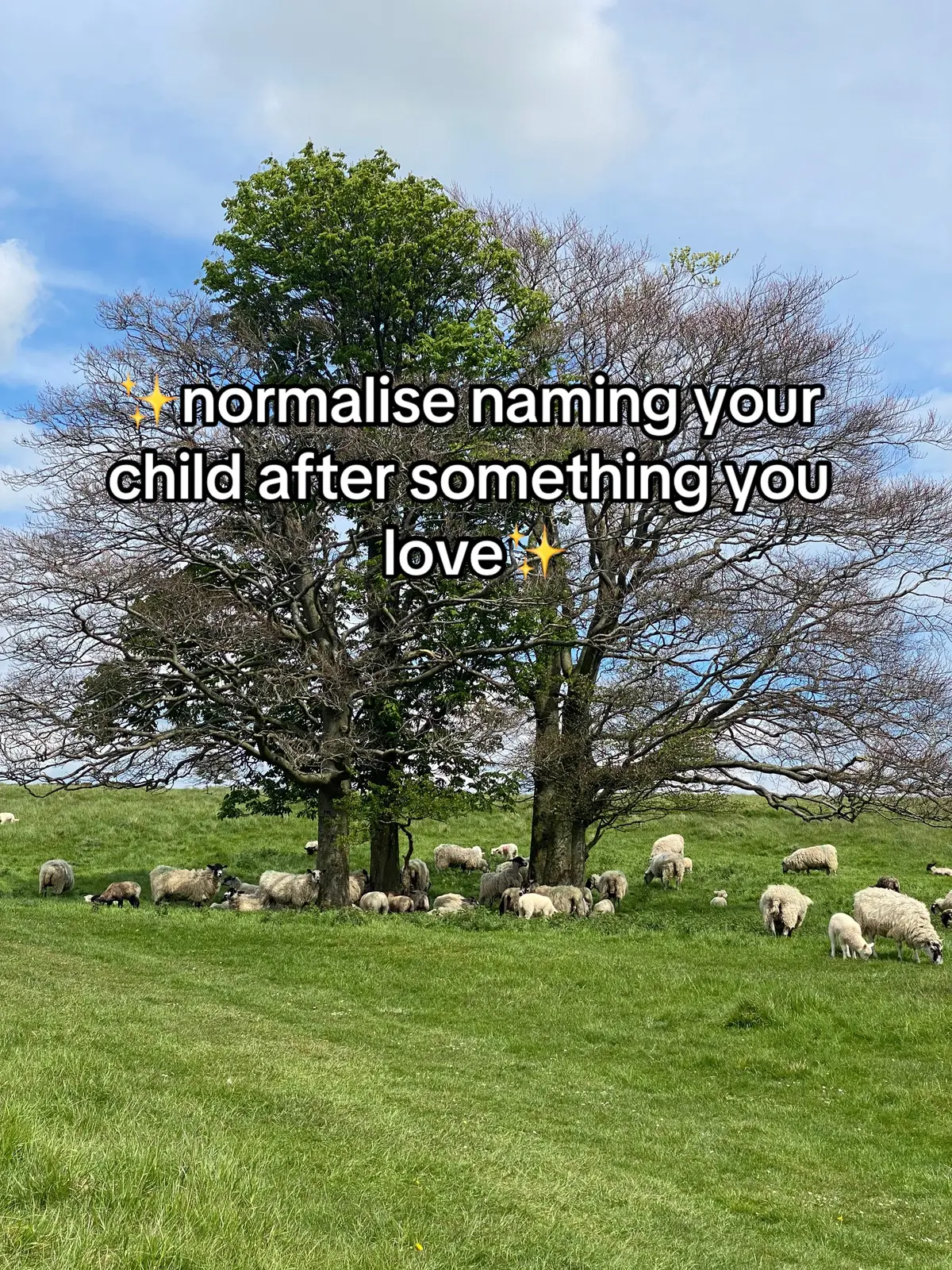 #ithinkivejustmadeahashtag #fyp #foryoupage #normalisethis #sweetandsourchicken #chickenandchips #kidsnames #somethingilove 