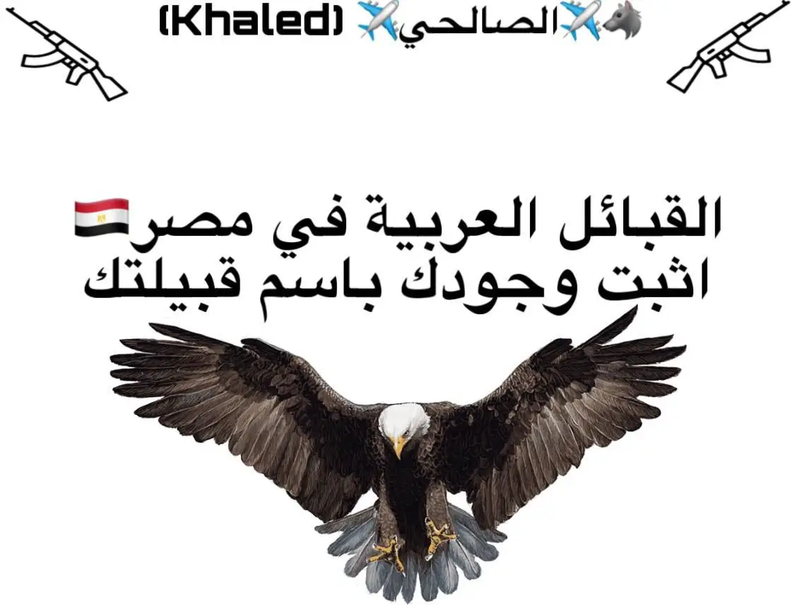 #بدو مصر 🇪🇬✌ #بدوانك_سعدهم_قايم #ترندقبائل #بدوسيناء #بدوالقليوبيه #بدومطروح #مجرد________ذووووووق🎶🎵💞 