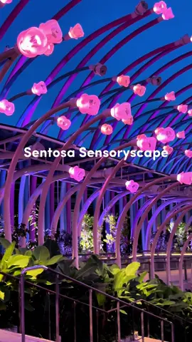 Sentosa Sensoryscape Sensoryscape transforms into a night-time spectacle as daylight fades.  immersed in a nature-inspired soundscape, where interactive digital light art and augment reality ignite the sixth sense of imagination. Opening hours: 24 hours daily ImagiNite: 7.50pm - 9.40pm daily #sentosasensoryscape #singapore #visitsingapore #traveltiktok #travellife 