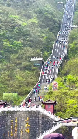 Tianmen Mountain's 999-step ladder is not crowded at all #天门山 