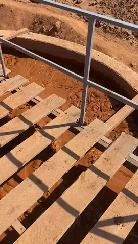 gold cip plant
