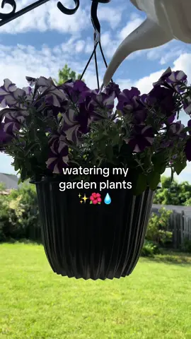 giving them a drink, as my mom would say 💧 #watering #wateringplants #gardenplants #flowers #tomatoes #tomatoplants #basil #basilplant #plantsoftiktok #plants #outdoorplants 