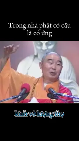 trong nhà phật có cầu là có ứng #xuhuongtiktok #hoathuongtinhkhong #kinhvoluongtho #hashtag 