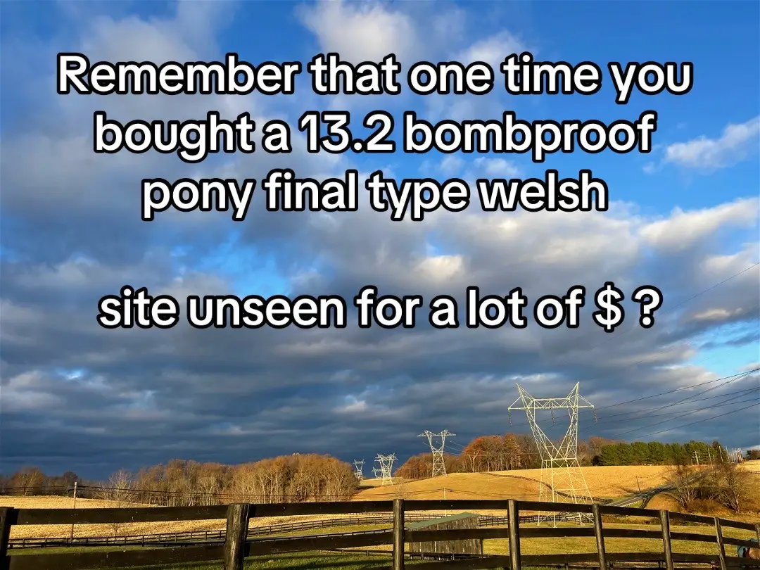 I cant even begin to tell you what was going through my head when this pony got off of the trailer.  #horsebuying #horsehorrorstory #pony #ponystories #badseller #buyingapony