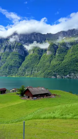 📍 Walensee, Switzerland 🇨🇭 Follow me for daily Swiss Content 🇨🇭 📌 Don’t forget to save this for your next trip to Switzerland.  🎥 by @swissmici  #wasserfall #waterfall #schweiz #stäubifall #naturephotography #landscape #interlaken #grindelwald #lauterbrunnen #water #stgallen #mountains #swiss #photography #suisse #myswitzerland #berge #river #berneroberland #inlovewithswitzerland #Hiking #naturelovers #visitswitzerland #landscapephotography #switzerland  #unterschächen #amden #glarus #seerenbachfälle #walensee 