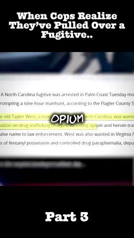 When Cops Realize They_ve Pulled Over a Fugitive.. part 3 #policeofficer #pursuit #copusa #policeactivity #copstvshow #copsoftiktok #trending #foryoupage #fbyyy