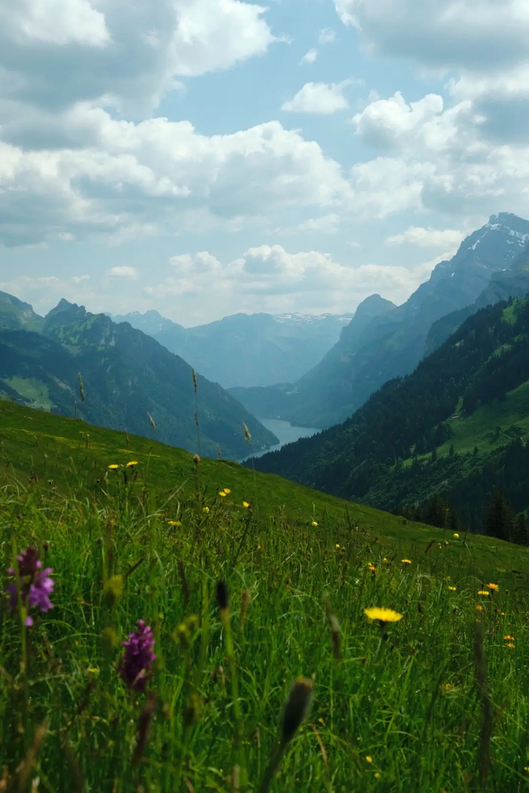 A Swiss corner of paradise 💚🌼🌸  #nature #photography #landscape #landscapephotography #naturelove #swissalps #switzerlandnature #inlovewithswitzerland #switzerland #mountains #photographer 