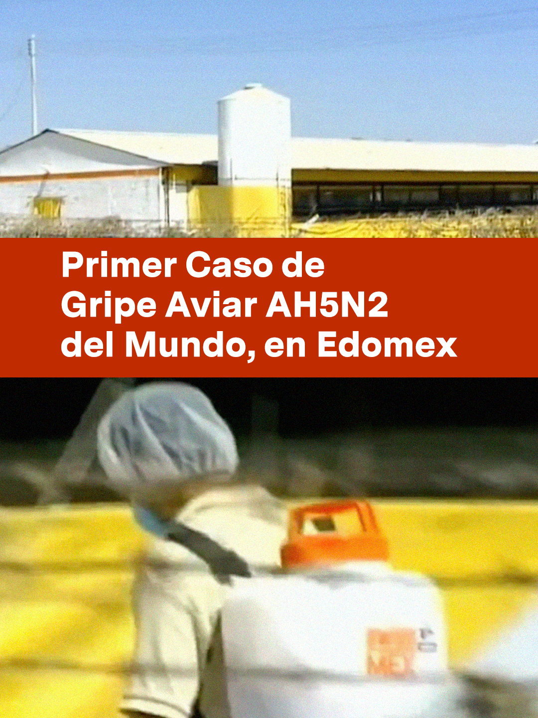 La Organización Mundial de la Salud (OMS) alertó por el primer caso en el mundo de gripe aviar AH5N2 en el Estado de México. La persona falleció. Se trata de una información que está en desarrollo. #gripeaviar #oms #salud #ah5n2 #mexico #virus