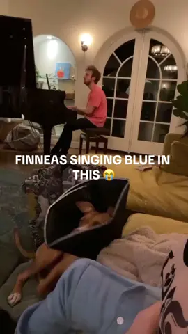 #BLUE i hope noboyds pointed this out yet 😭FINNEAS LIKED  @BILLIE EILISH @F @alex @n @˚₊‧꒰აRaine໒꒱‧₊˚ @FINNEAS #hitmehardandsoft #billieeilish #blue #finneas #trueblue #wildflower #lunch #music #popular #trend #fypツ @F 