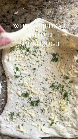 A little sourdough experiment never hurt anyone #sourdough #sourdoughbread #sourdoughshaping #whitecheddardillsourdough 