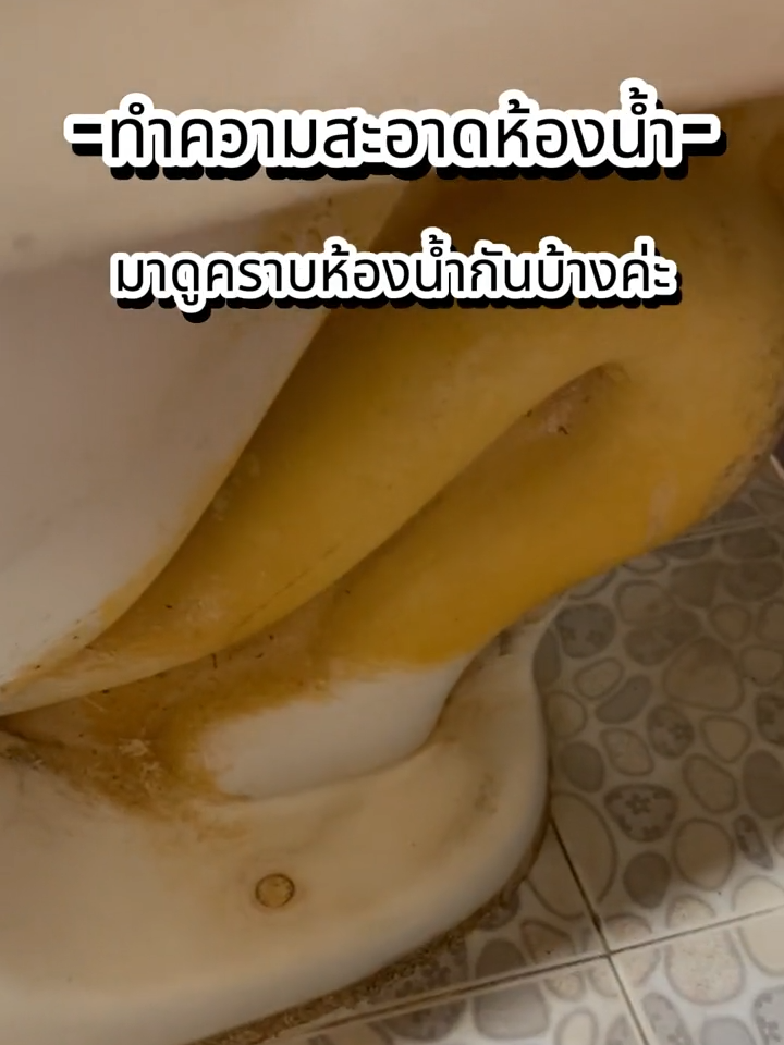 คราบเหลืองตามห้องน้ำ โปร6.6รีบกดเลย #รินคลีน #รินคลีนน้ํายาทําความสะอาดอเนกประสงค์ #รินคลีนน้ํายาทําความสะอาด #น้ำยาทำความสะอาด #น้ํายาล้างห้องน้ํา #น้ํายาทําความสะอาด