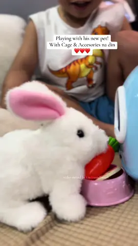 He really loves this pet❤️ Nakuha ko sa Sale - Discounted Price at Free Shipping na din🥰 #pettoy #rabbittoys #toys #pet #toypet #rabbitsoftiktok #rabbittoy #toys #kidstoys #toysforkids #toddlertoys 