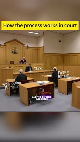 How does the procedure in court work?#court #fyp #criminal #victim 
