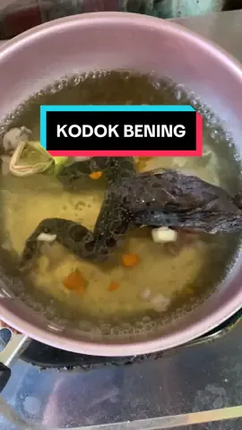 Masak KODOK Bening, menu Simpel Rumahan  #menusimple  #meme #fypシ゚viral #kodok #resepsimple 