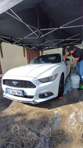 Cette vraie Mustang nettoyé par mes soins en vidéo 📹  Et encore merci au propriétaire pour sa confiance 🙏 #mustang #fordmustang #autodetailpro #detailingworld #pourtoi 