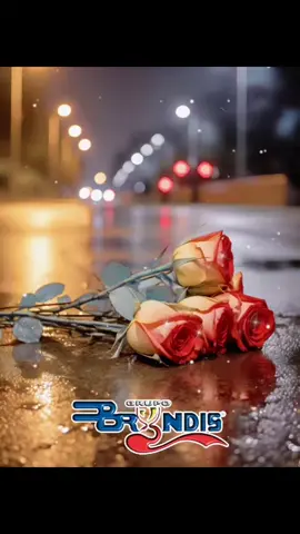 Tu Lugar Se Ocupó 😔💔🎶(LETRA) #grupobryndis #brindis🥰🎶🤞favoritas #musica #❤️ #romantica  #viraltiktok #dedicasela #💔#enparati 