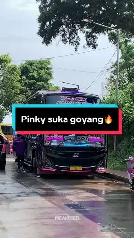 Black pink suka goyang👏🏻👏🏻 #viralvideo #videoviral #tiktokindia #trendmarsya #fypシ゚viral #tunggaljayatransport ###blackpink #officialblackpink_tiktok #davairhornmusical @TUNGGAL JAYA @Deni permana1011 @OWETMARDEV 