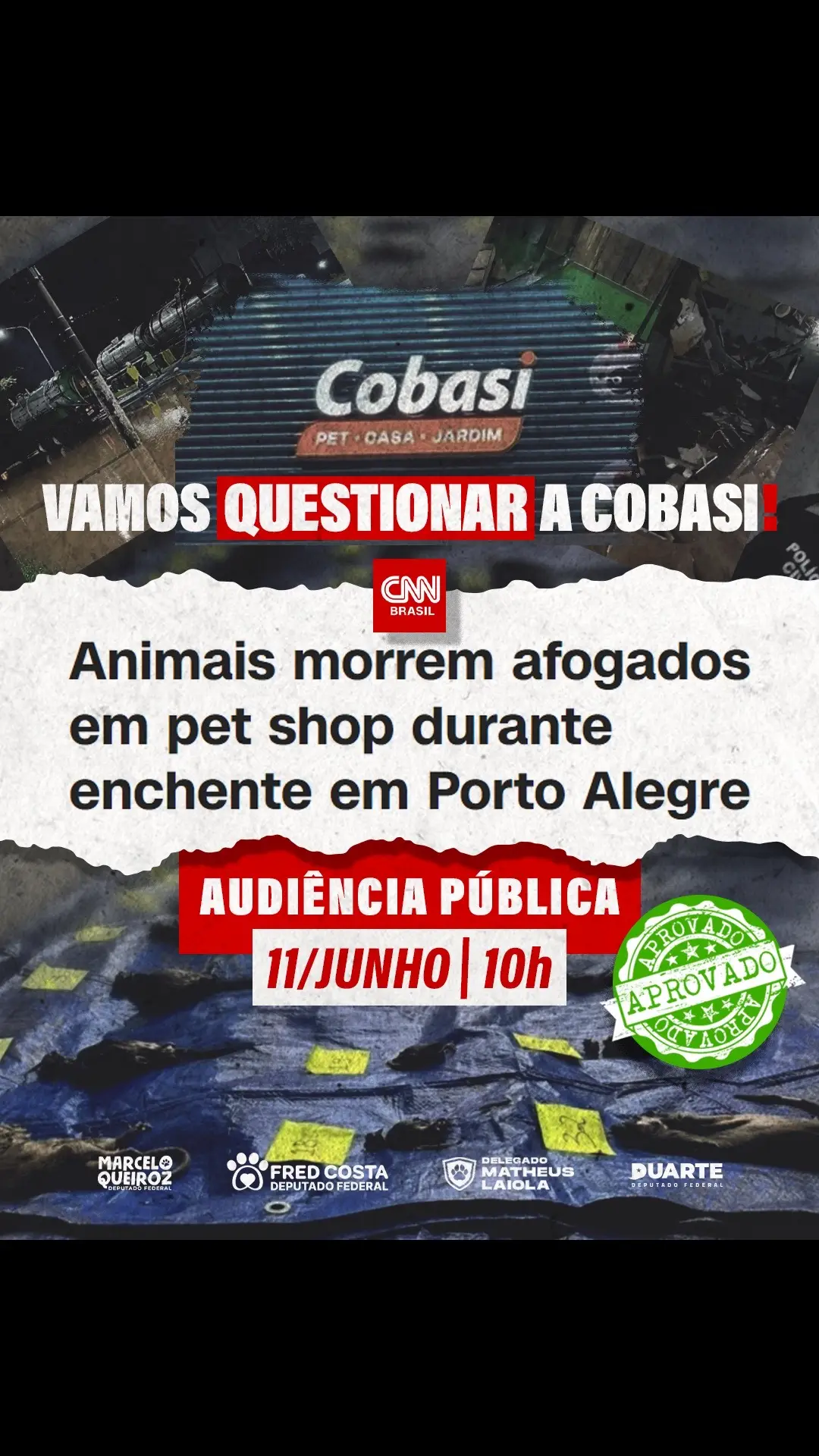 Vamos questionar a Cobasi e exigir respostas. Queremos saber porque os funcionários da @Cobasi Grande do Sul salvaram parte dos equipamentos eletrônicos da loja antes de saírem do local, mas deixaram os animais no subsolo. Contamos com a participação de todos! Juntos, pela justiça e pelos direitos dos animais! 🐾 🚨