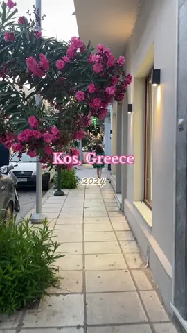 🇬🇷🇬🇷#kos #greece #Summer #holiday 