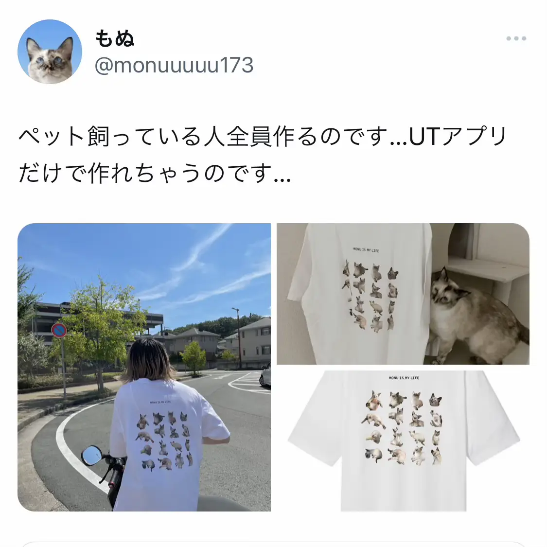 #飼い猫 #tシャツ #UT 