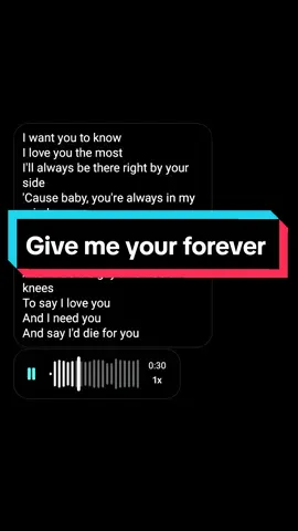 i want you to know i love you the most #givemeyourforever #english #singing #music #song #lyrics  #zacktabudlo #lirik #lyricsvideo #liriklagu #cover #coversong #englishsong #foryou #fyp #sing 