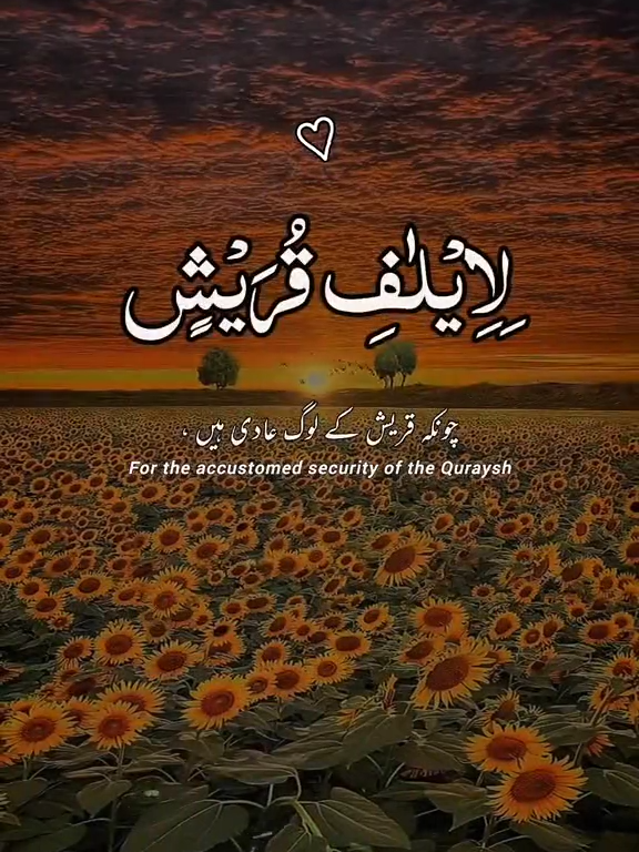 Surah Quraish Tilawat. Quran with Urdu Translation. #islamic_media #viralvideo #foryourpage #quranrecitation #القران_الكريم_راحه_نفسية #quranonline786