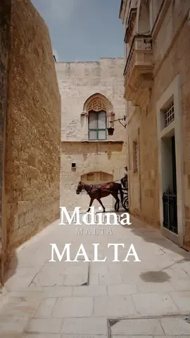 The medieval cityscape of the “Silent City” 📍 Mdina, Malta Mdina is the city that we liked most during our time exploring Malta. One of the ancient cities, it is probably less chaotic than Valletta. This “Silent City” name was originally coined when the capital was moved out of Mdina and into what is modern day Vittoriosa. This left Mdina so uninhabited that people started to consider it to be like a ghost town, and the silent city nickname was born. With its narrow winding streets, ornate churches, grand palaces, and majestic fortified walls, Mdina offers an enchanting glimpse into Malta’s past. It truly does feel like stepping back in time. Is Mdina on your travel bucket list? #mdinamalta #visitmalta #lovemalta #silentcity #mdinathesilentcity #maltalovers #maltatravel #irishtravelblogger #travelugc #irishtravelcreator #travelcontentcreator #maltatiktok #maltaisland #travelingtheworld #travelinspo #travelinspiration #summerdestinations #europedestinations #wheretogoineurope #howtoplanaeuropetrip #europetravelguide 