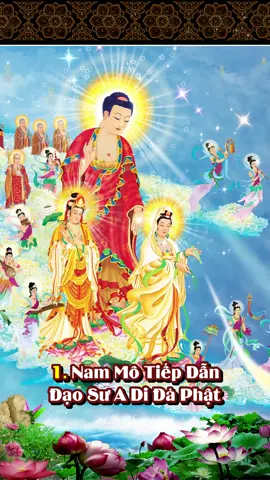 NIỆM NAM MÔ TIẾP DẪN ĐẠO SƯ A DI ĐÀ PHẬT - Giọng niệm: Thầy Thích Lệ Trang #nammotiepdandaosuadidaphat