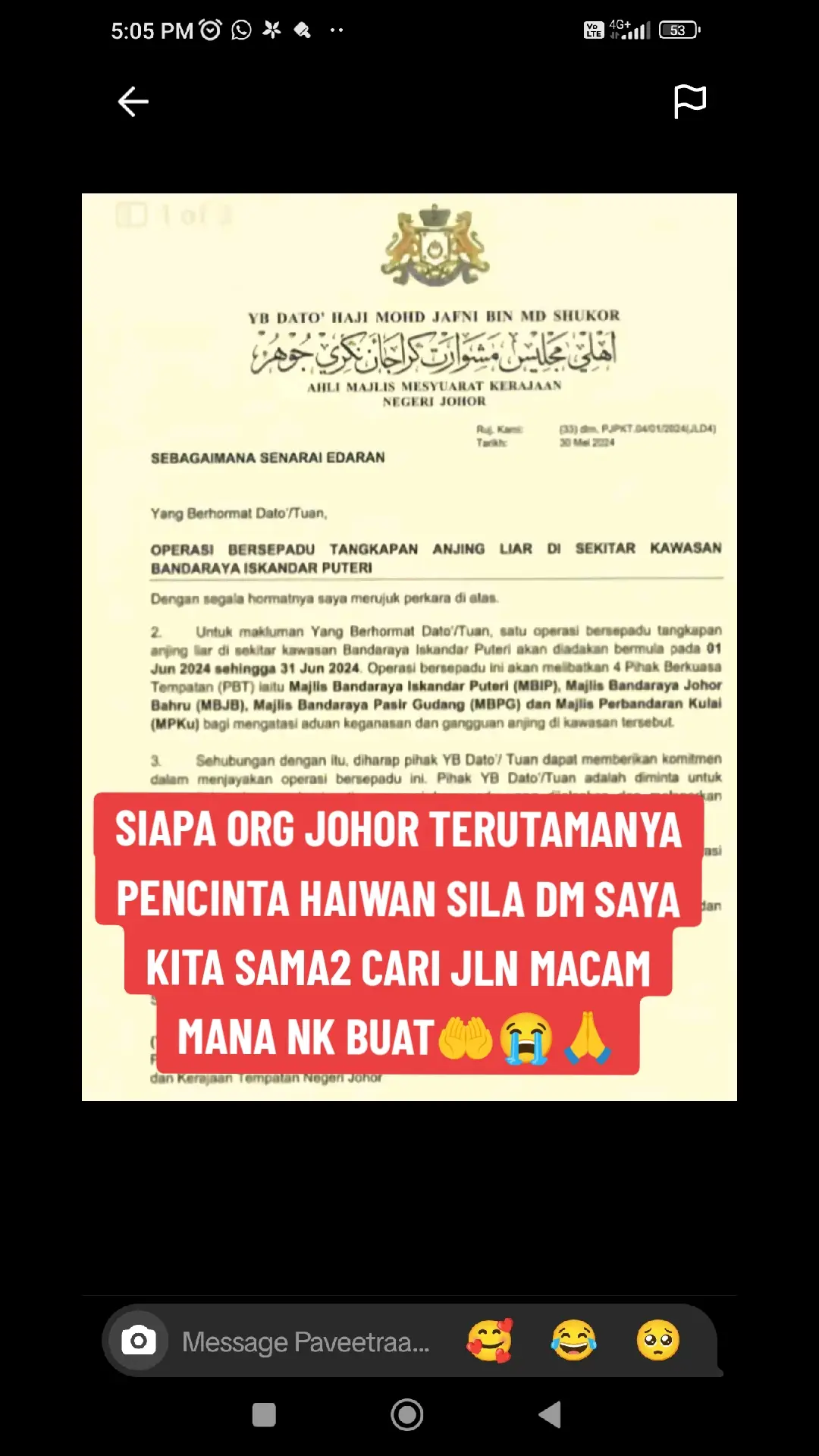 #KongsiBersama #akmelaka #kamianakmelaka #kucingjalanan #servicedogs #Hello2024 #kitahanyamanusiabiasa #anjingjalanansedunia #viralvideo #sekalisekalifyp #fyp #KAMIANAKMELAKA #CapCut #KAMITKRAMAITAPIKAMIADA #KAMITKRAMAITAPIKAMIADA #tiktokmelaka 