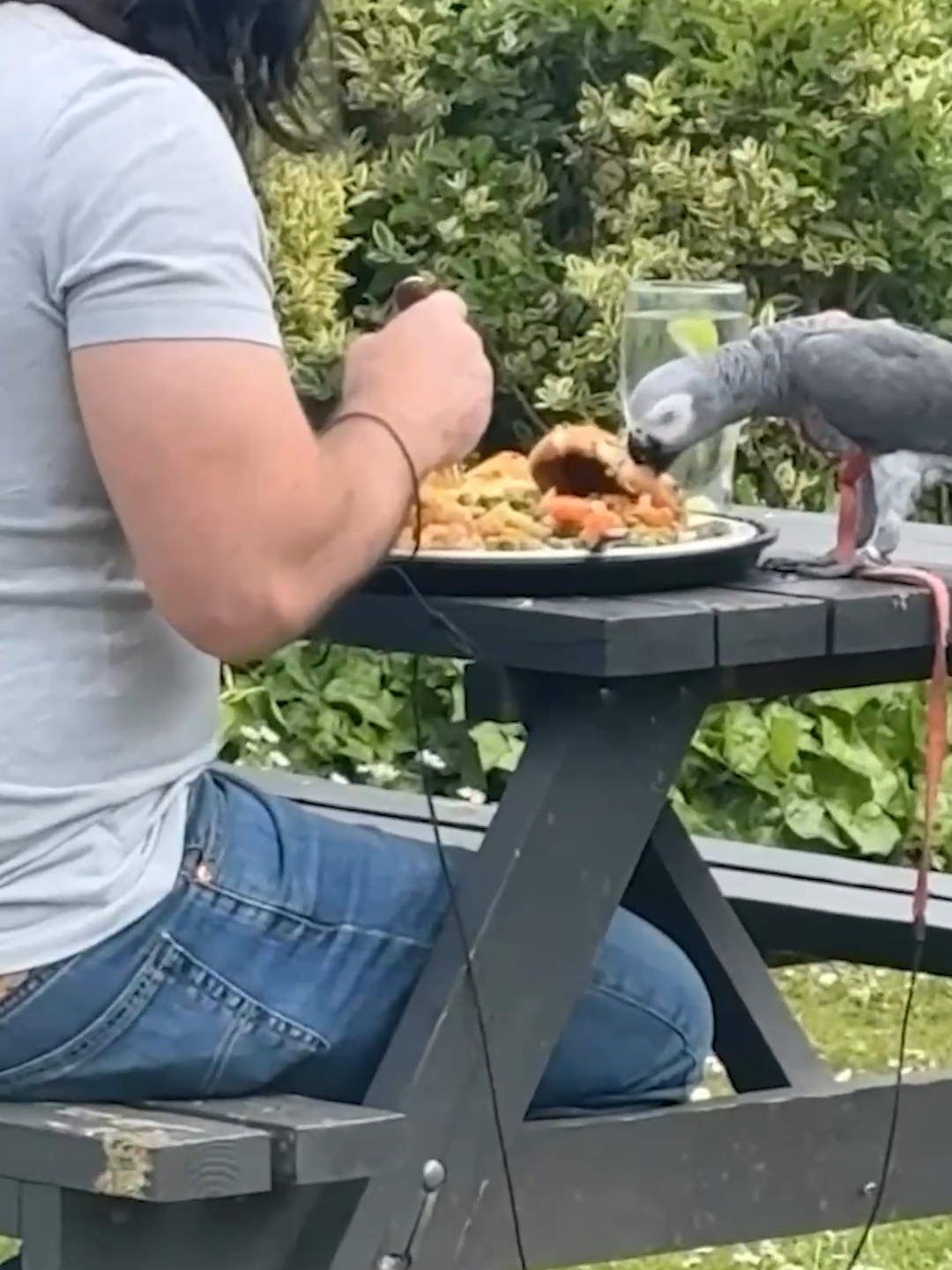 Sharing Is Caring 🦜❤️ #parrot #share #sharing #bird #pet #PetsOfTikTok #dinner #lunch #roastdinner #funny #viral #fyp